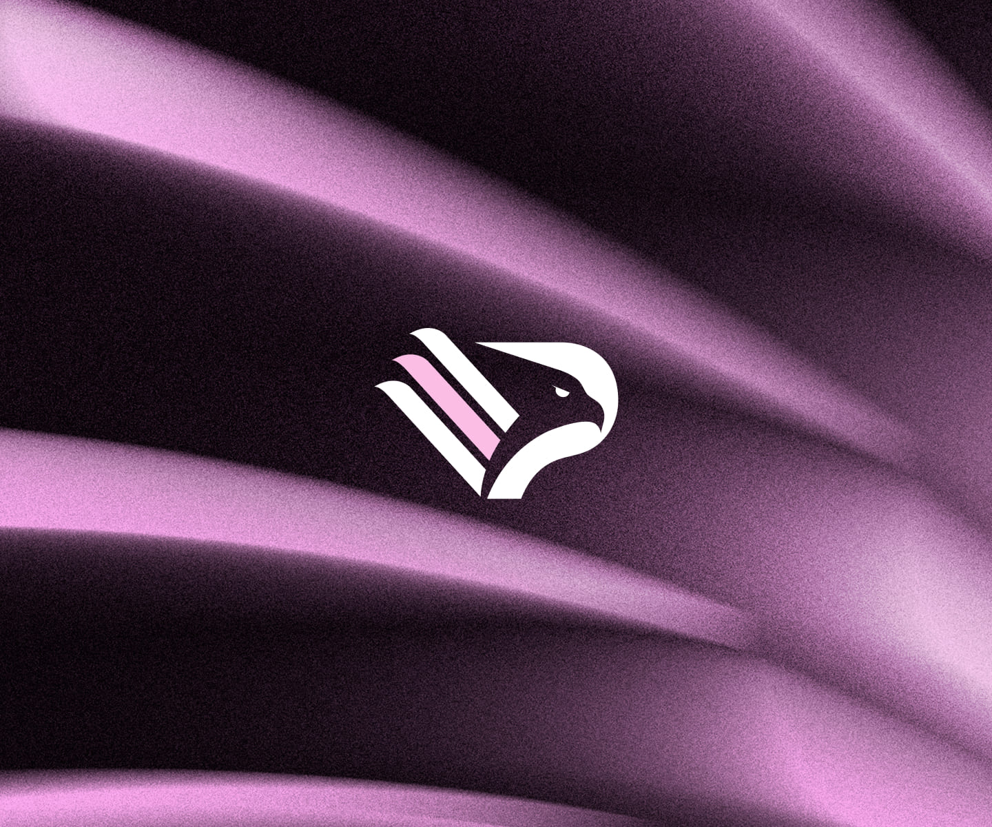 fallback image Team