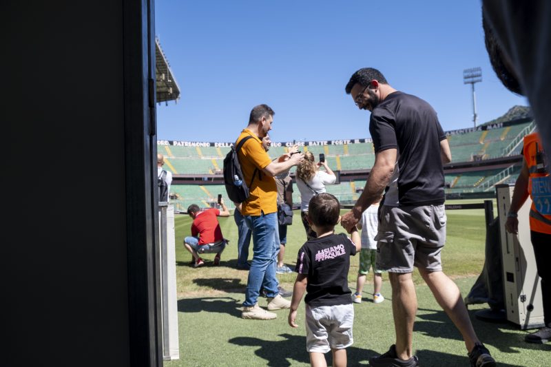 Stadium Experience